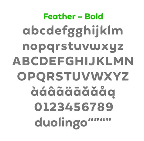 duolingo font|The Duolingo Font: Exploring Feather 